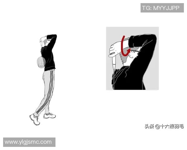 科学羽毛球技术训练方法的全面解析与实用技巧分享